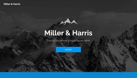 Business Consultants Website Template