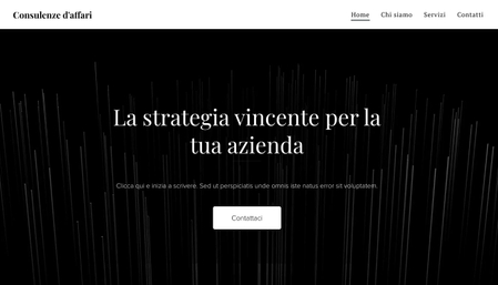 Modello - Consulente d'affari