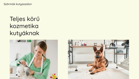 Kutyaszalon webhelysablon