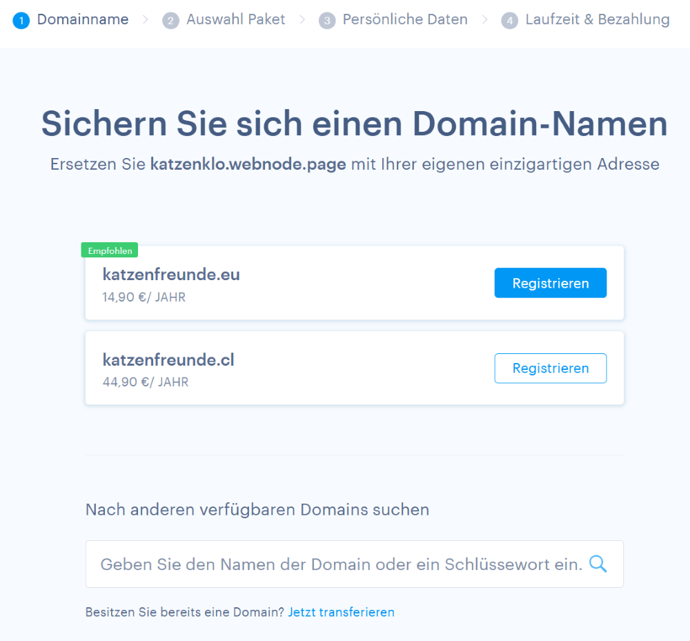 Domainvorschläge bei der Regisitrierung der eigenen Domain im Webnode CMS