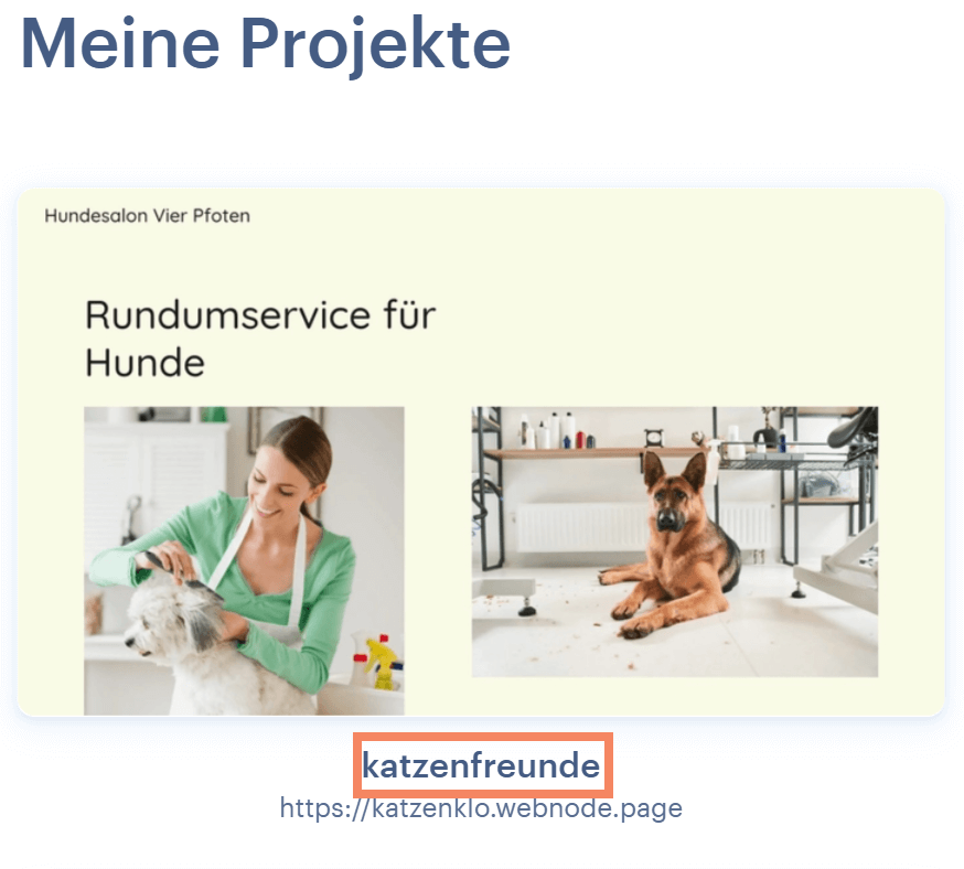 Unterschied zwischen dem Namen der Website und Subdomain im Webnode CMS