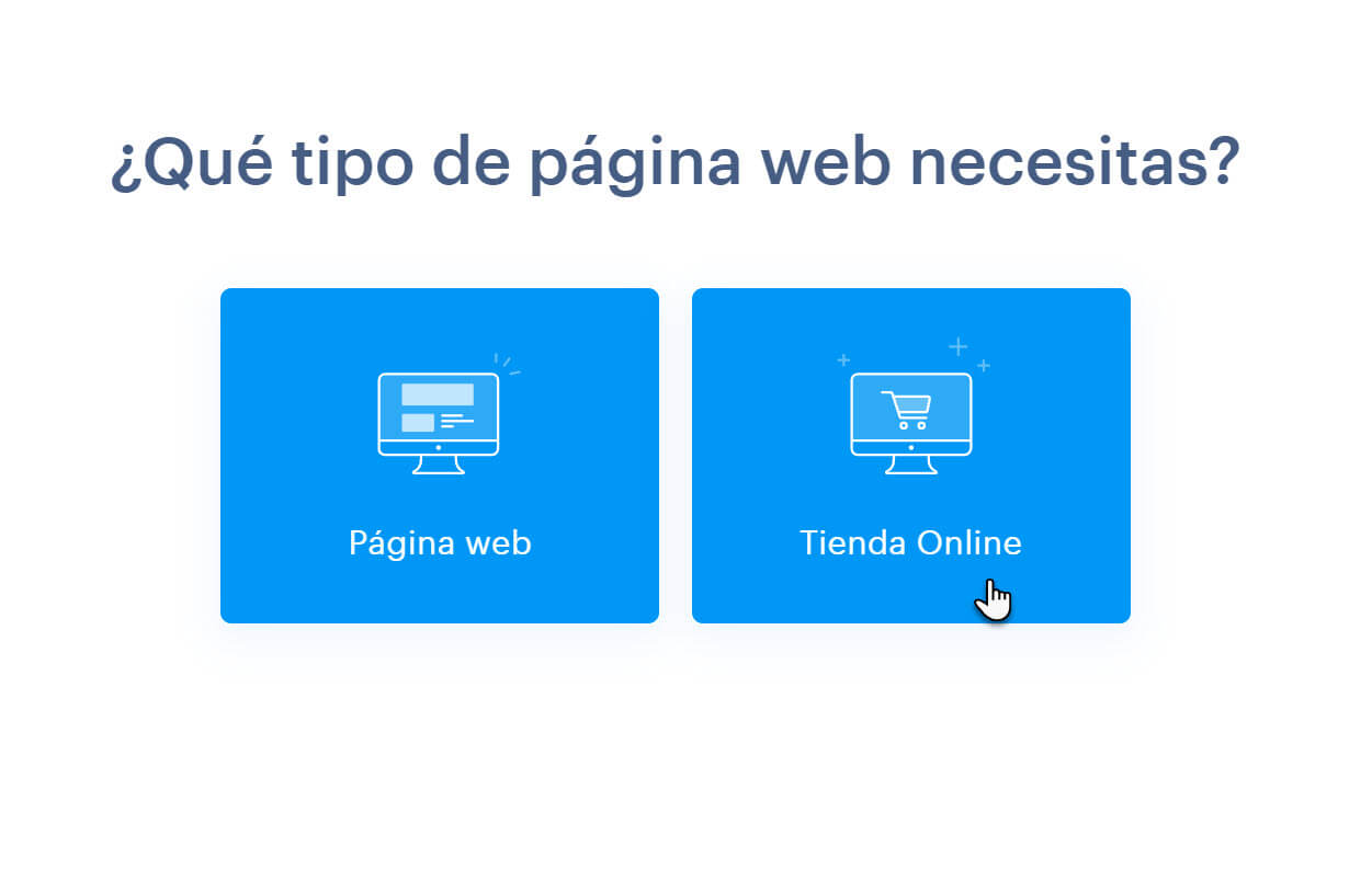 Que tipo de pagina web necesitas